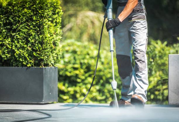 Best Sidewalk and Walkway Cleaning  in Brandermill, VA
