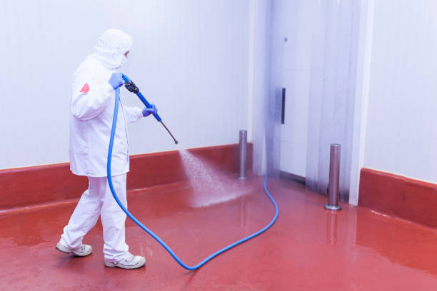 Best Roof Washing  in Brandermill, VA
